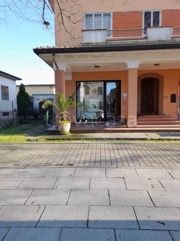 immagine annuncio 1 di 14