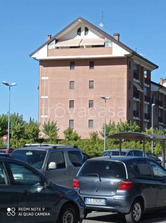 immagine annuncio 3 di 14