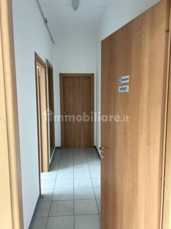 immagine annuncio 6 di 14