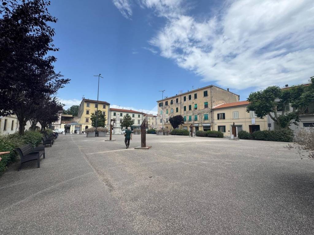 immagine annuncio 5 di 14