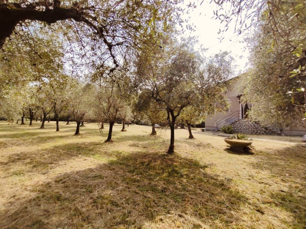 immagine annuncio 9 di 14