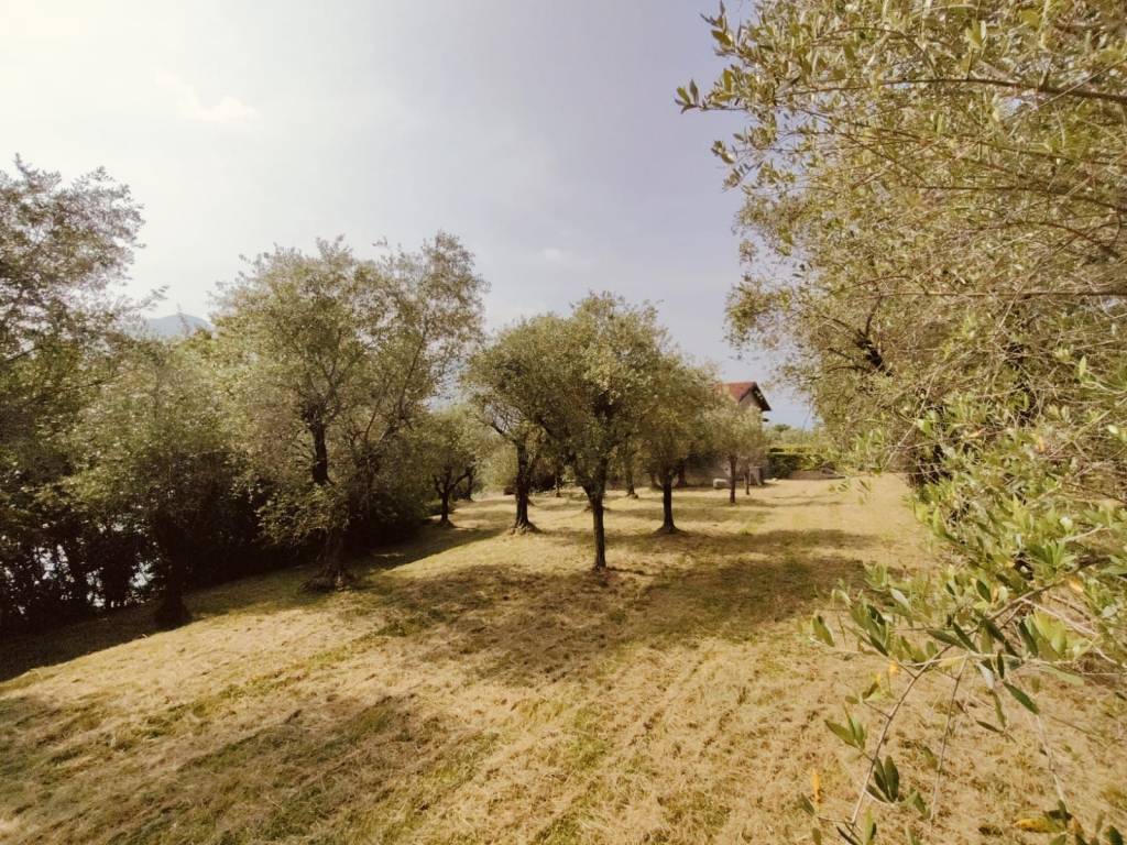 immagine annuncio 8 di 14