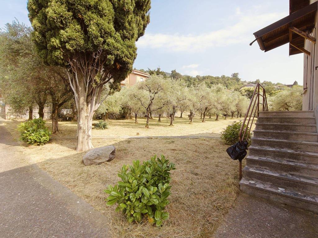 immagine annuncio 10 di 14