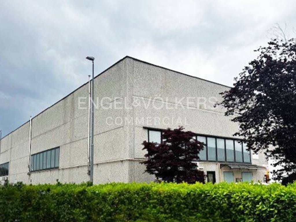 immagine annuncio 1 di 10