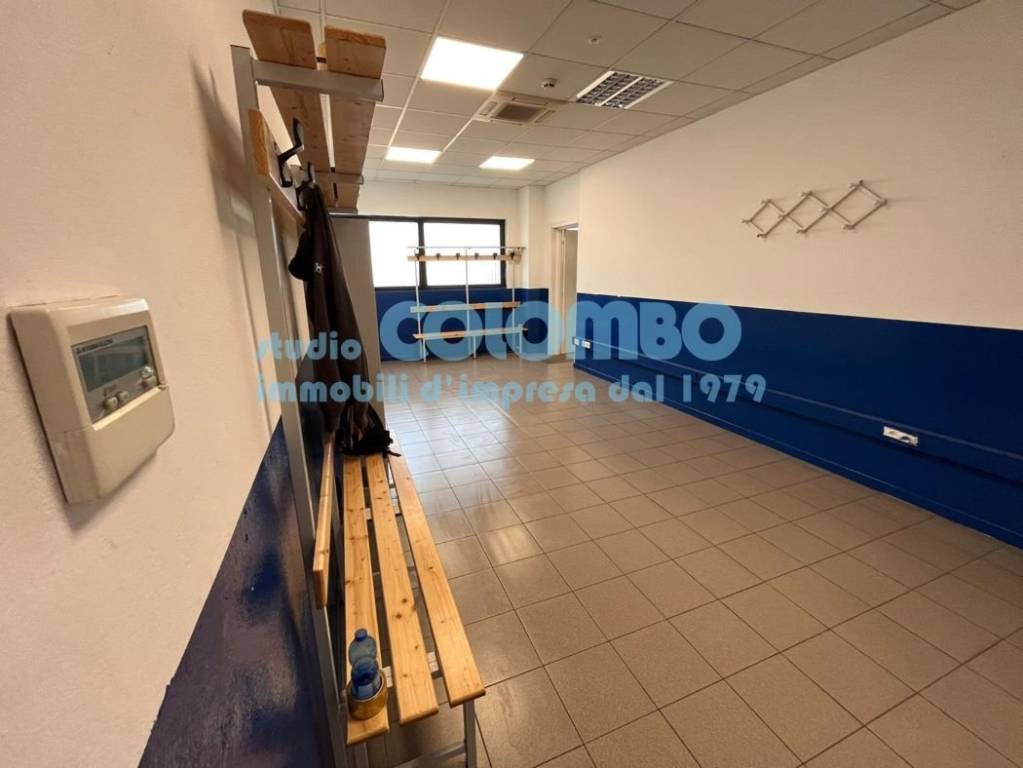 immagine annuncio 8 di 15