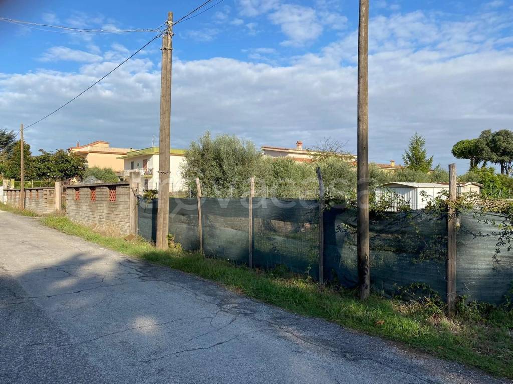 immagine annuncio 5 di 8