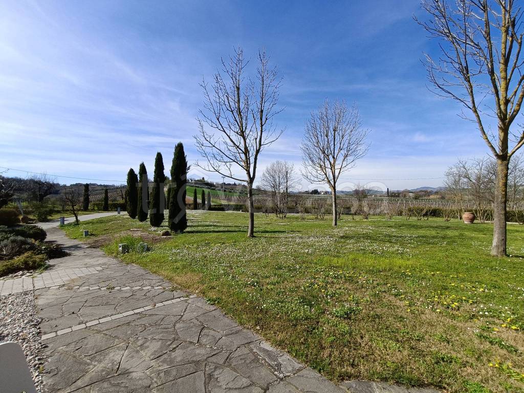 immagine annuncio 10 di 11