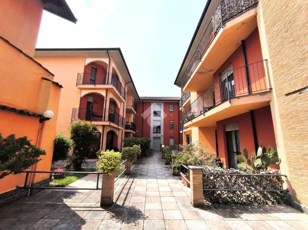 immagine annuncio 4 di 15