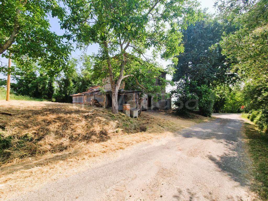 immagine annuncio 4 di 9