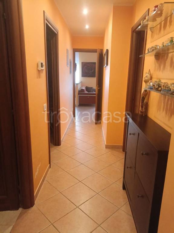 immagine annuncio 11 di 14