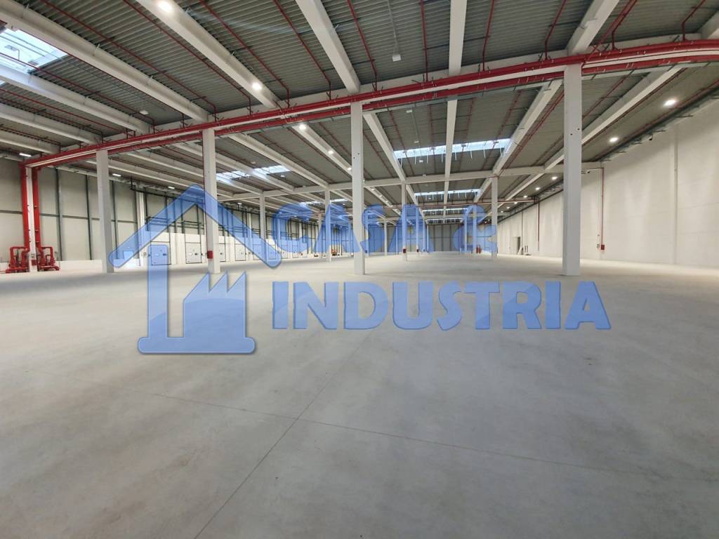 immagine annuncio 7 di 14