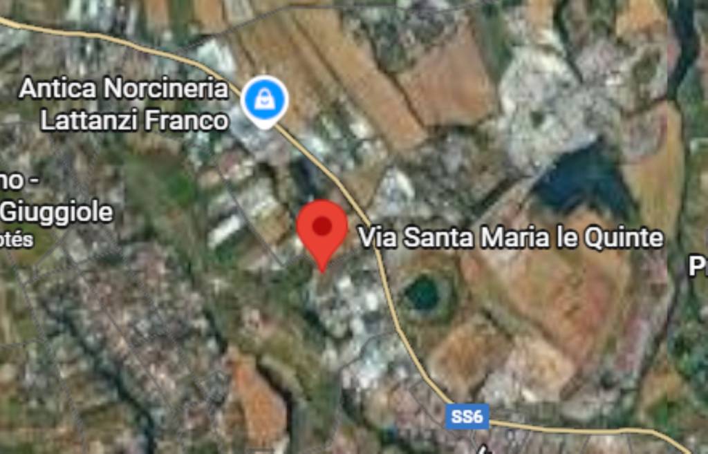 immagine annuncio 4 di 14