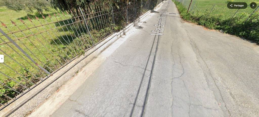 immagine annuncio 11 di 14