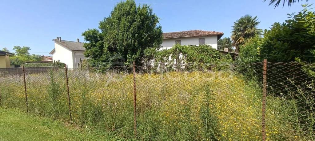 immagine annuncio 1 di 6