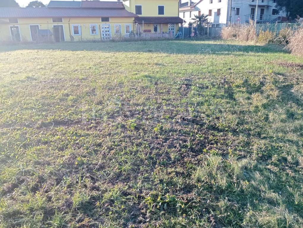 immagine annuncio 4 di 6
