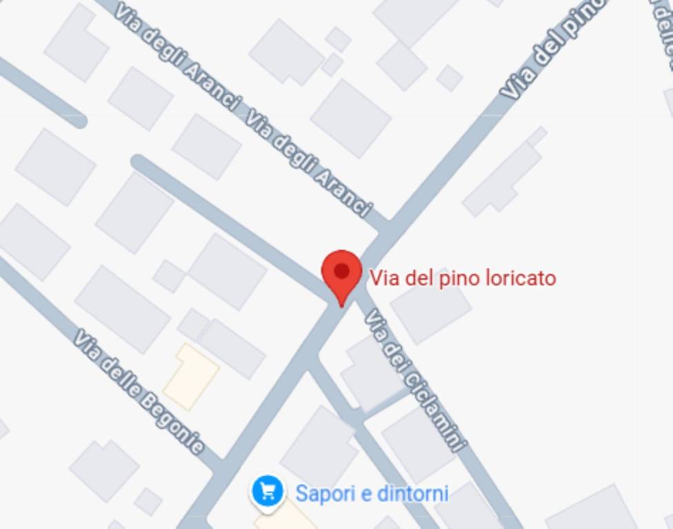 immagine annuncio 7 di 11