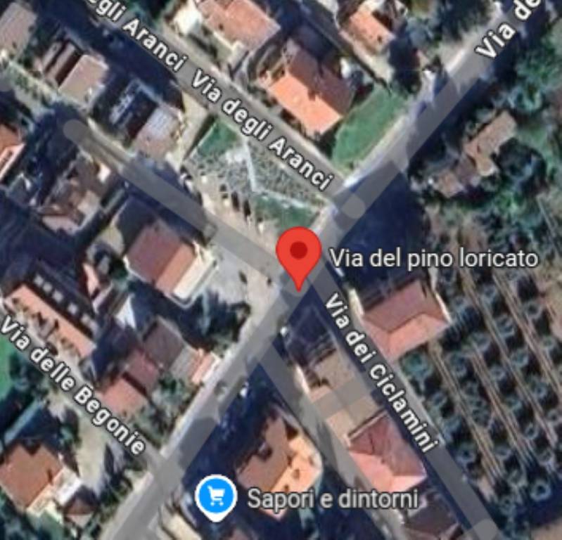 immagine annuncio 9 di 11