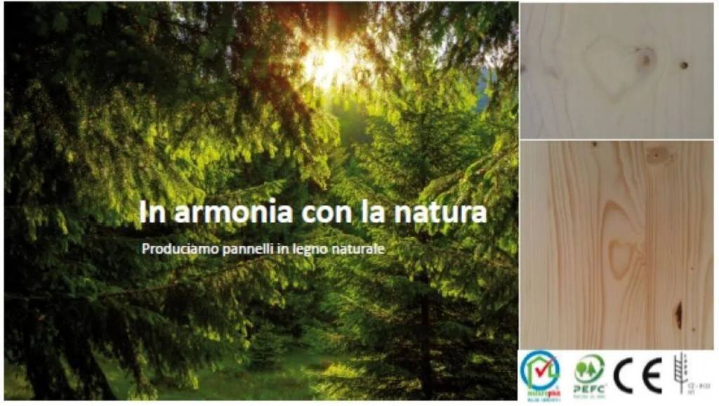 immagine annuncio 3 di 6