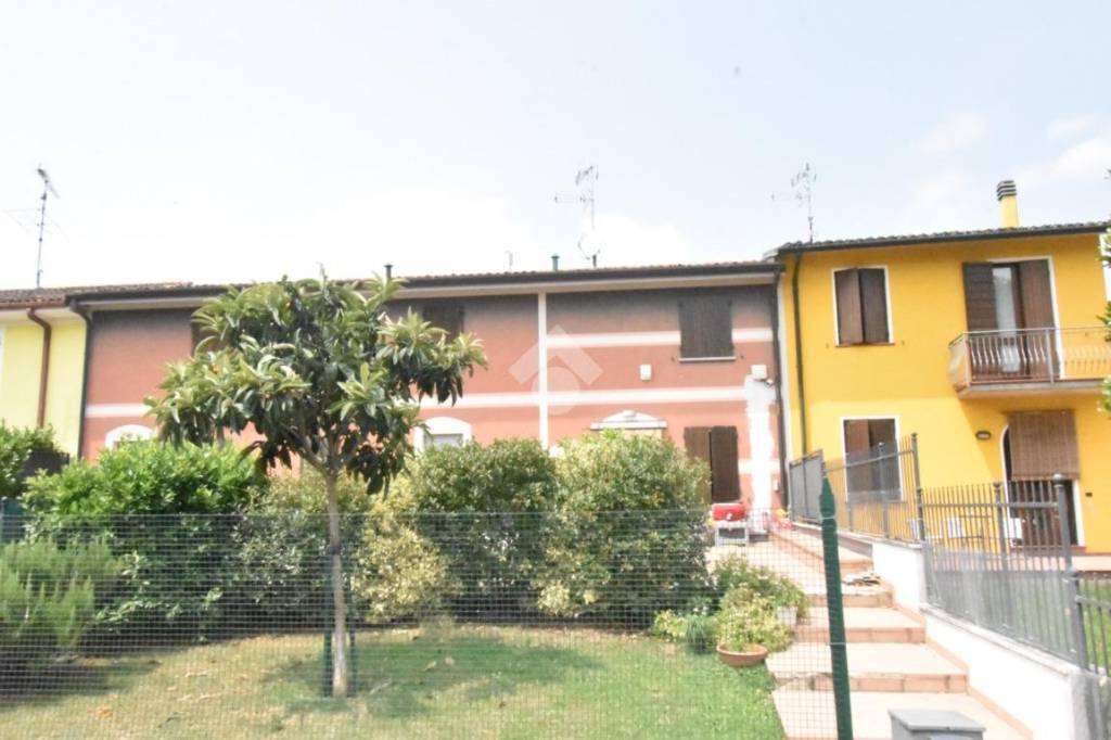 immagine annuncio 4 di 15