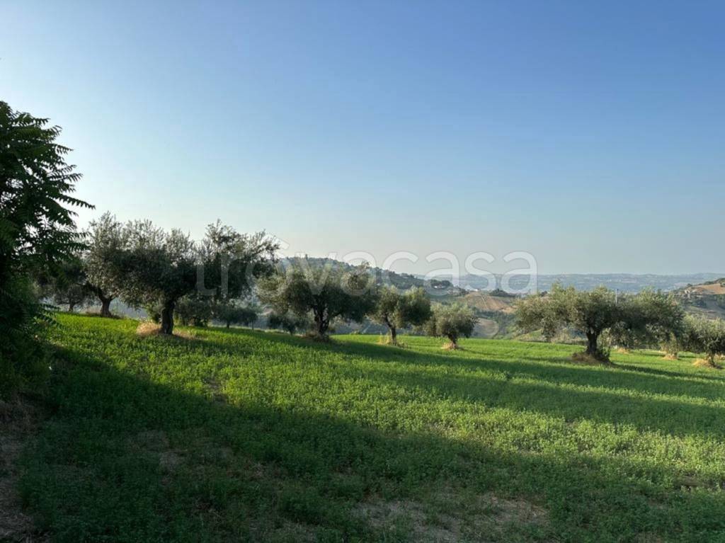immagine annuncio 7 di 13