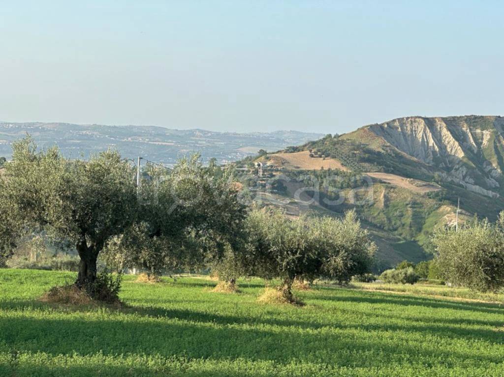 immagine annuncio 8 di 13