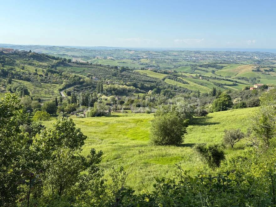 immagine annuncio 3 di 6