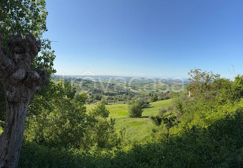 immagine annuncio 4 di 6