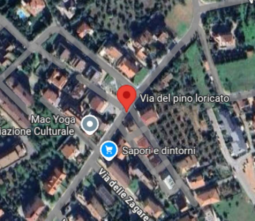 immagine annuncio 2 di 11