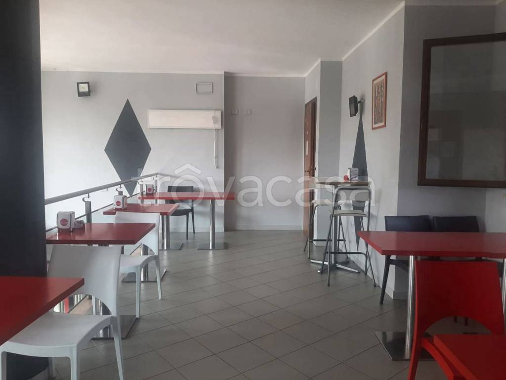 immagine annuncio 3 di 14