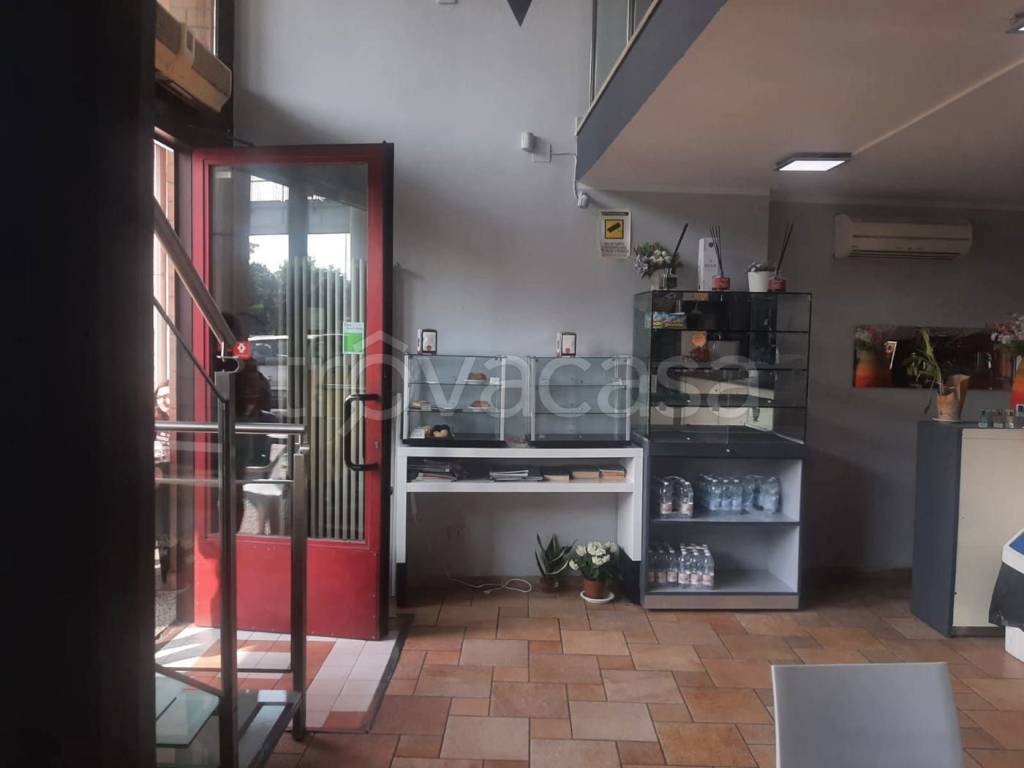 immagine annuncio 7 di 14