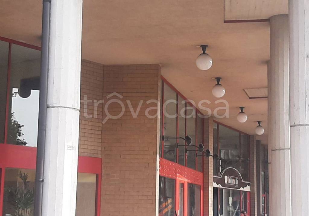 immagine annuncio 10 di 14