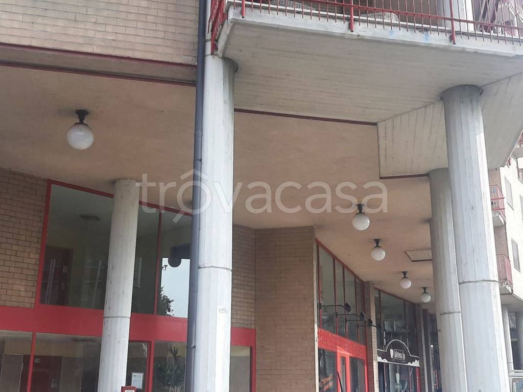 immagine annuncio 12 di 14