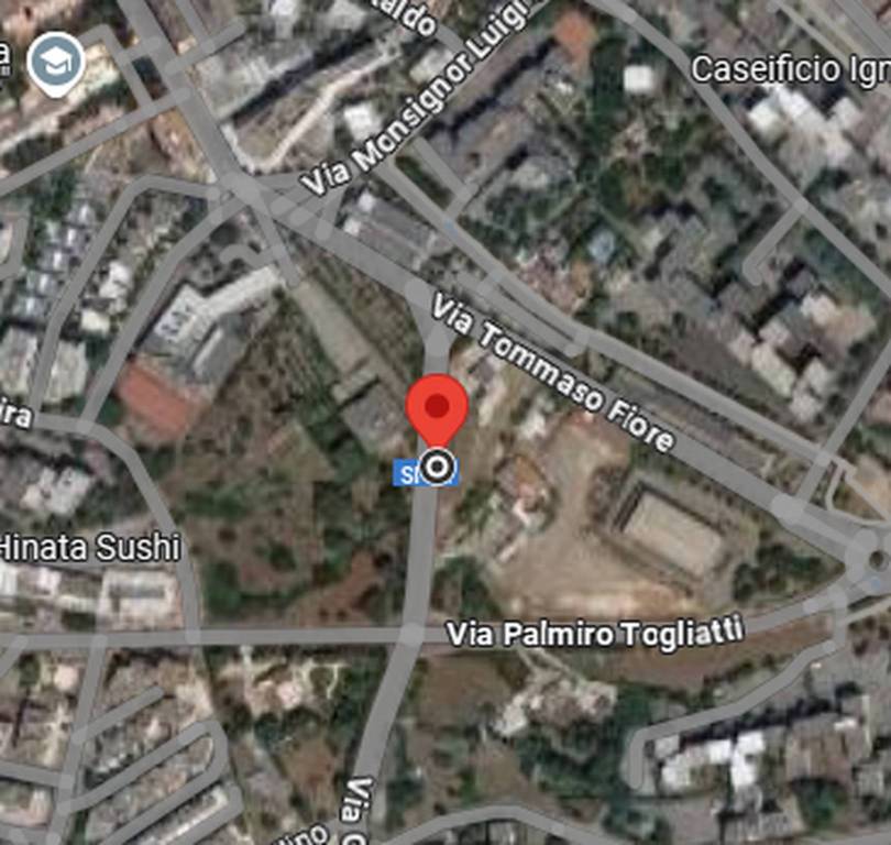 immagine annuncio 3 di 11