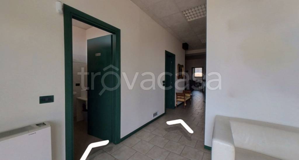 immagine annuncio 2 di 14