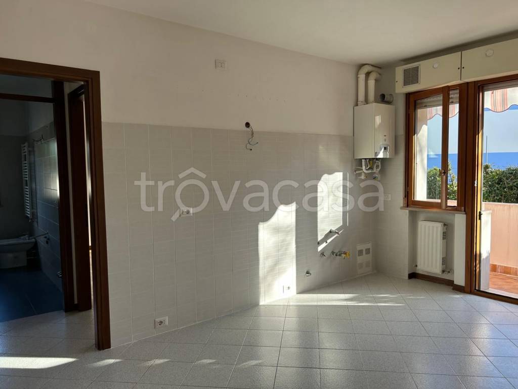 immagine annuncio 3 di 12