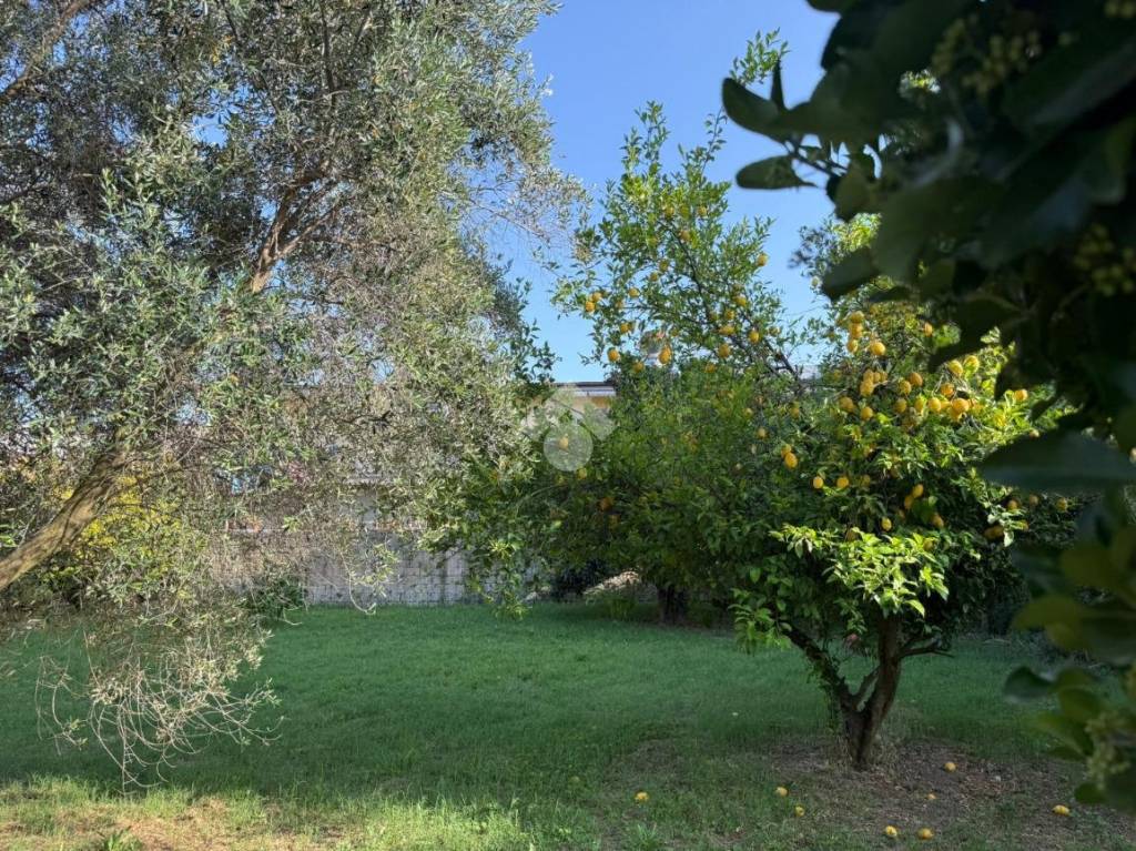 immagine annuncio 2 di 11