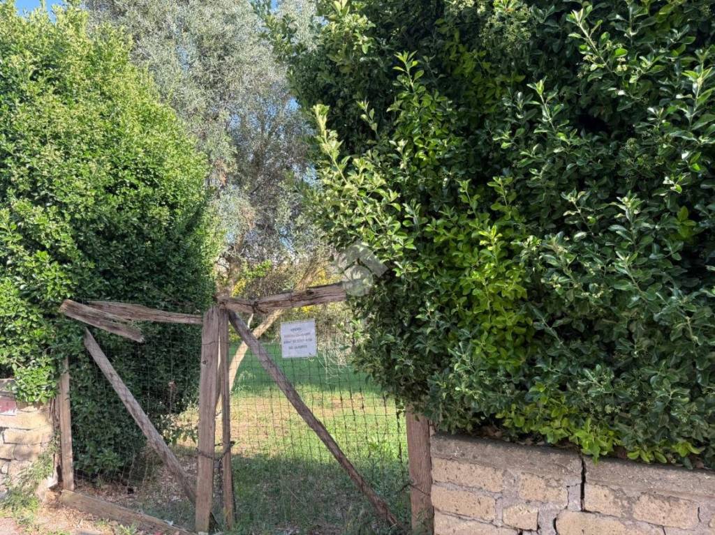 immagine annuncio 4 di 11