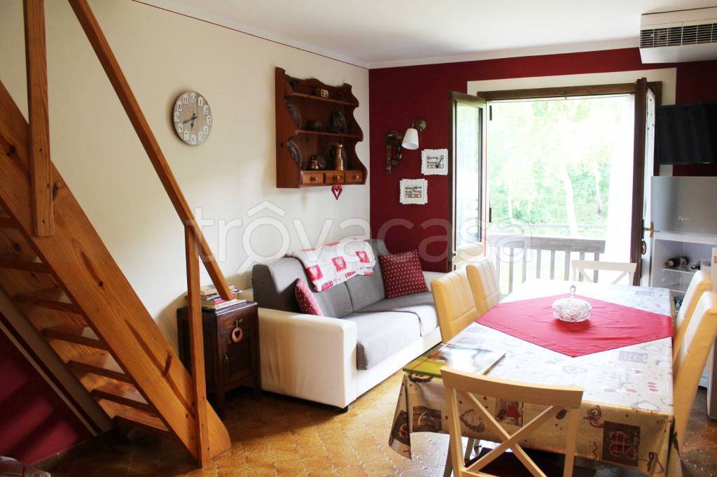 immagine annuncio 11 di 15