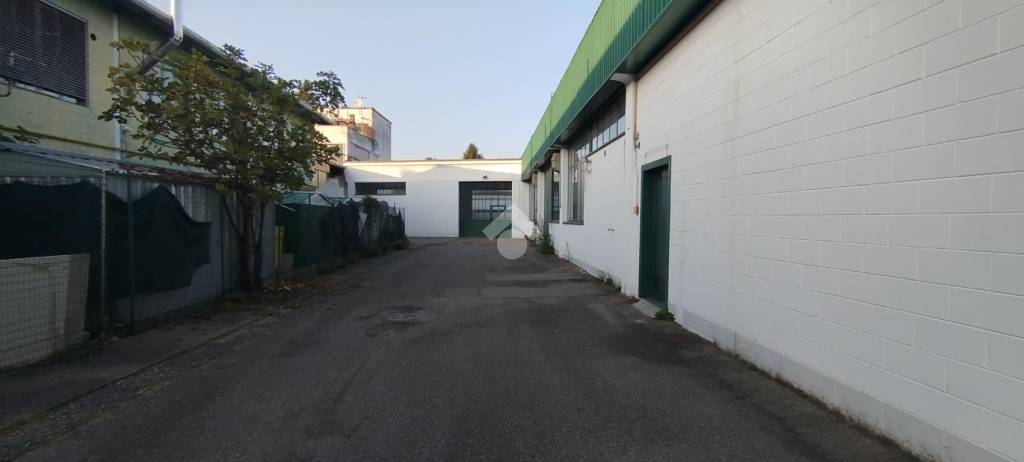 immagine annuncio 10 di 15