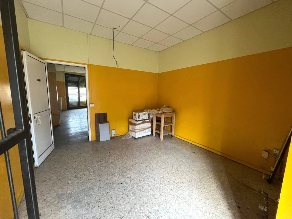 immagine annuncio 3 di 13