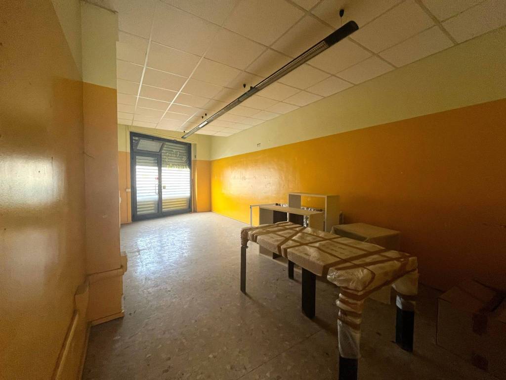 immagine annuncio 5 di 13
