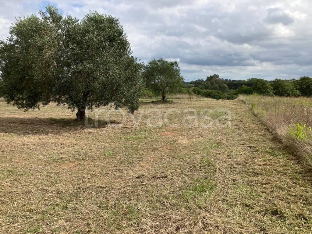 immagine annuncio 5 di 11
