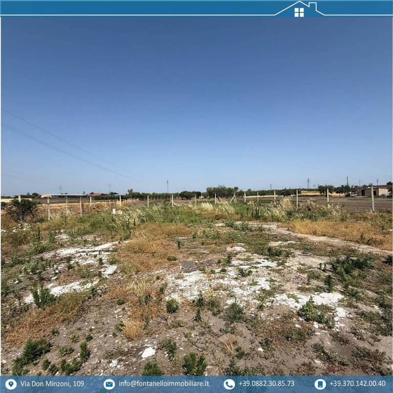 immagine annuncio 1 di 4