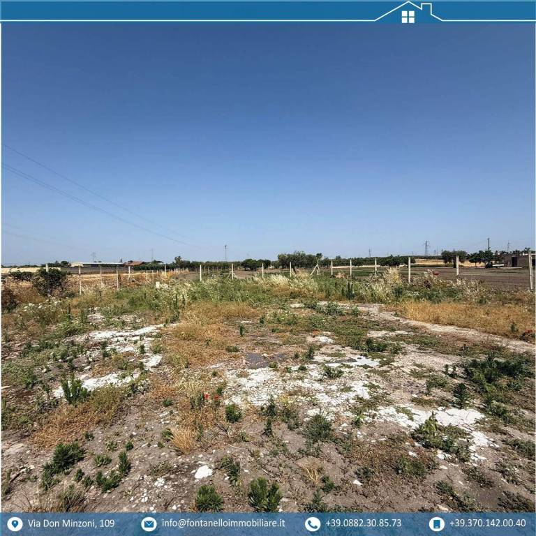 immagine annuncio 2 di 4