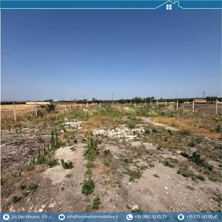 immagine annuncio 3 di 4