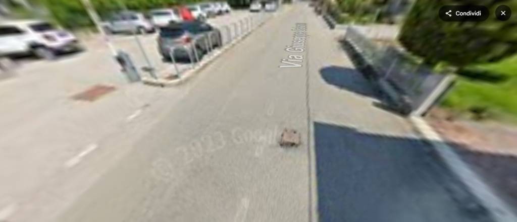 immagine annuncio 7 di 14