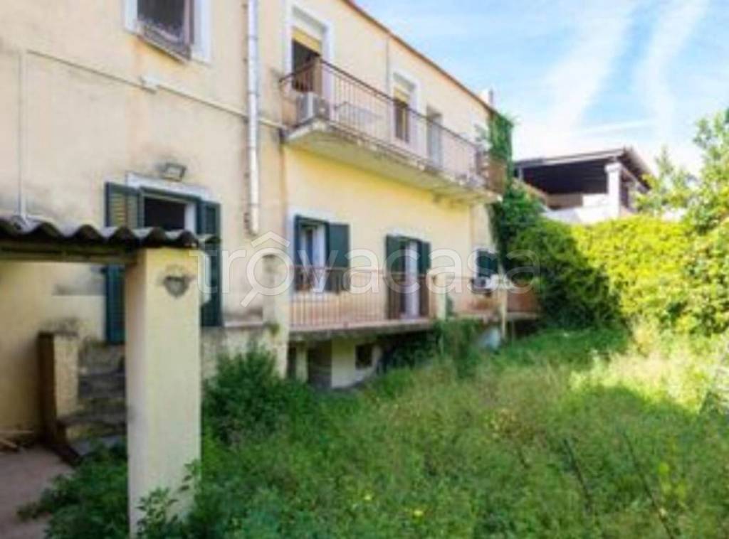 immagine annuncio 7 di 14