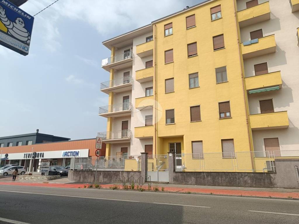 immagine annuncio 2 di 11