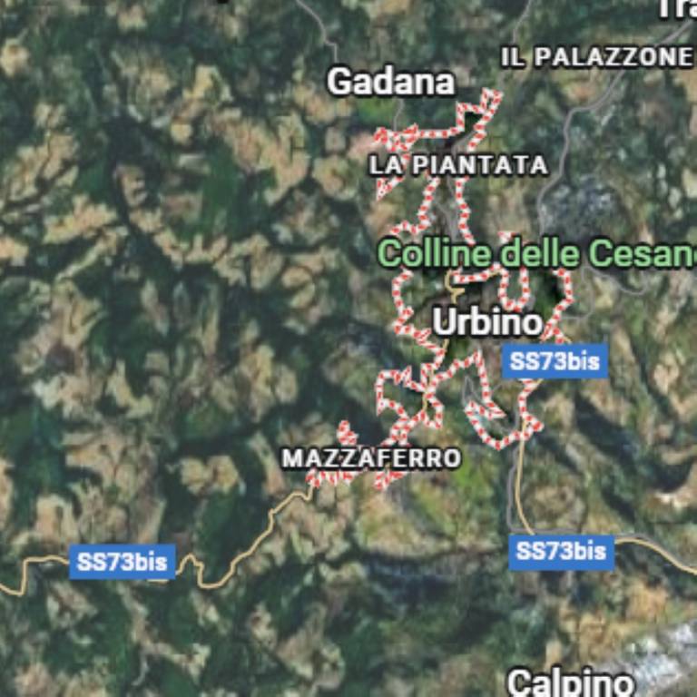 immagine annuncio 4 di 11