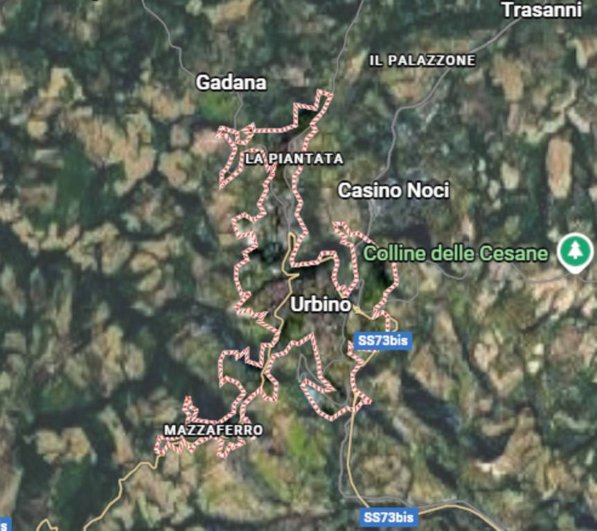 immagine annuncio 5 di 11